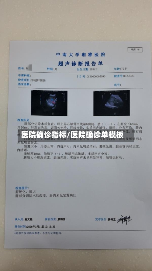 医院确诊指标/医院确诊单模板-第3张图片