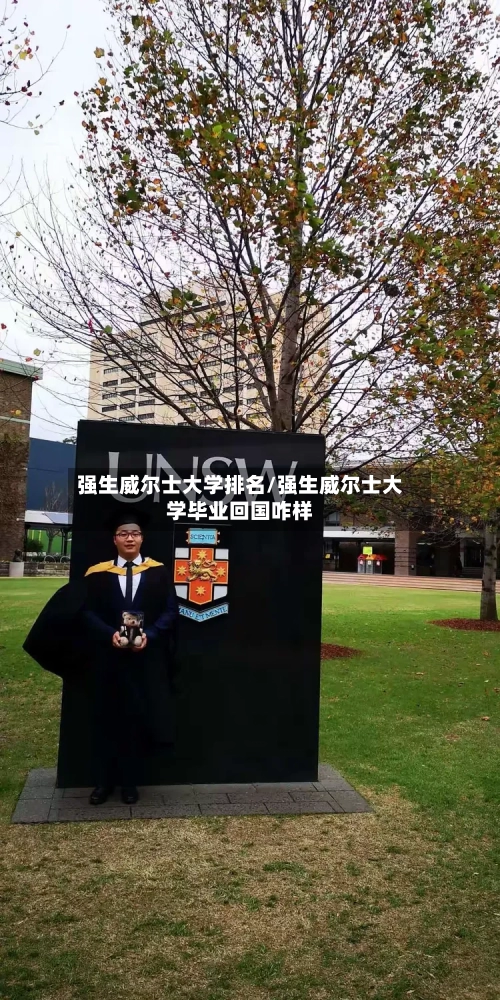 强生威尔士大学排名/强生威尔士大学毕业回国咋样-第2张图片
