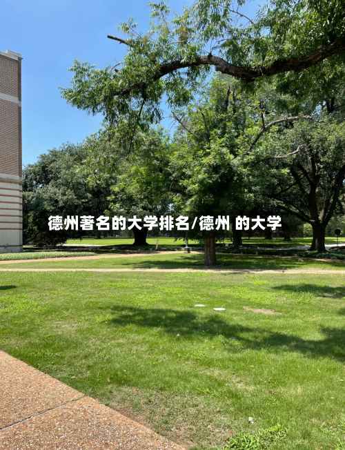 德州著名的大学排名/德州 的大学