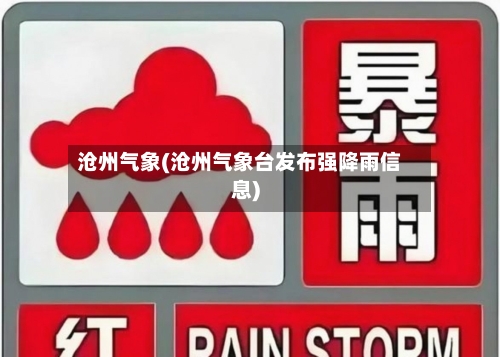 沧州气象(沧州气象台发布强降雨信息)-第2张图片