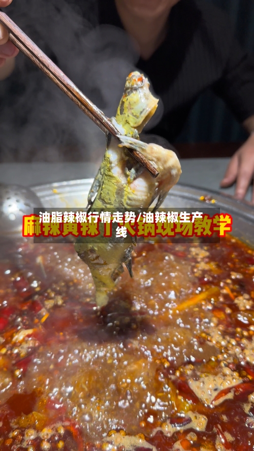 油脂辣椒行情走势/油辣椒生产线