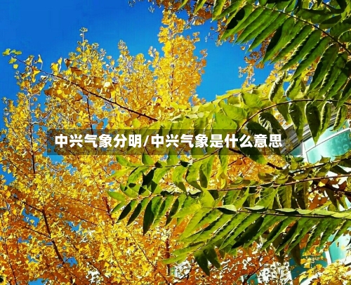 中兴气象分明/中兴气象是什么意思-第3张图片