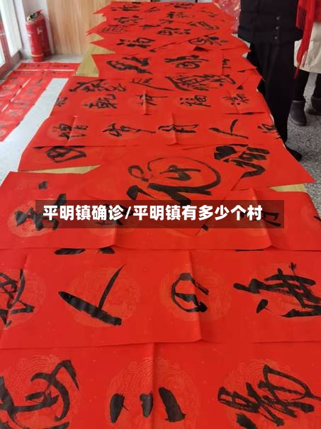平明镇确诊/平明镇有多少个村-第2张图片