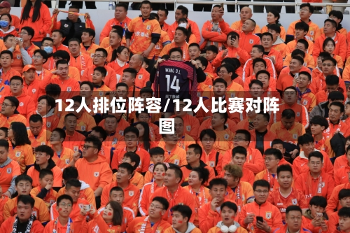 12人排位阵容/12人比赛对阵图