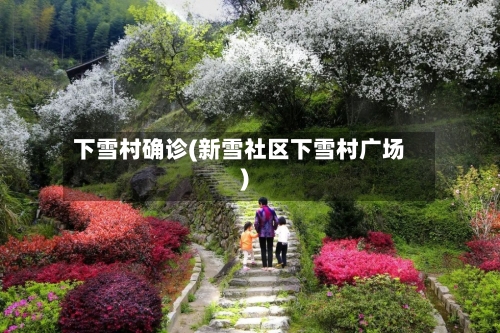 下雪村确诊(新雪社区下雪村广场)-第3张图片