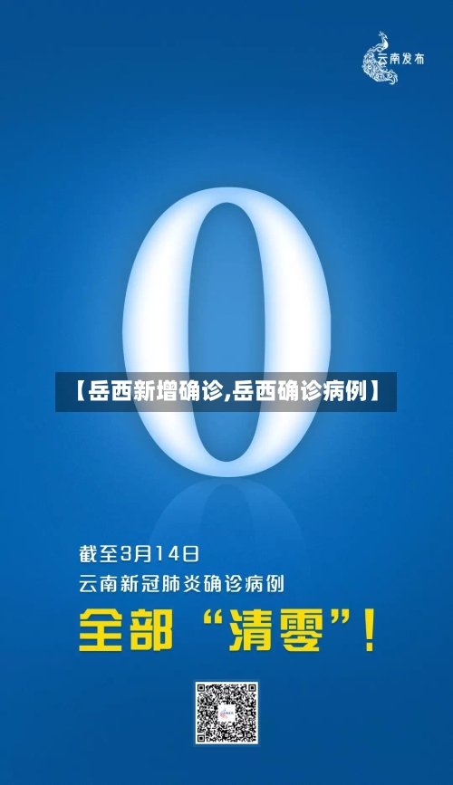 【岳西新增确诊,岳西确诊病例】-第2张图片