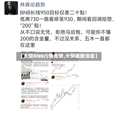 【大饼BNB行情走势,大饼最新消息】