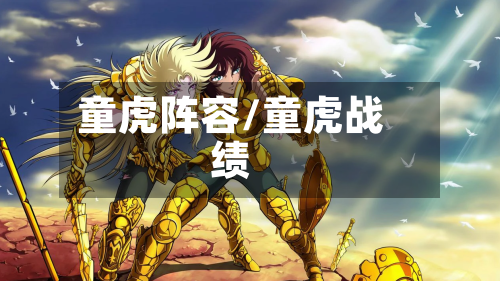 童虎阵容/童虎战绩