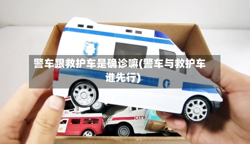 警车跟救护车是确诊嘛(警车与救护车谁先行)-第2张图片