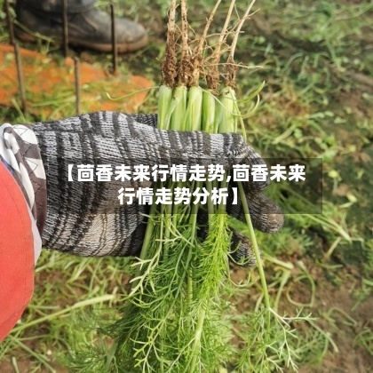【茴香未来行情走势,茴香未来行情走势分析】-第2张图片