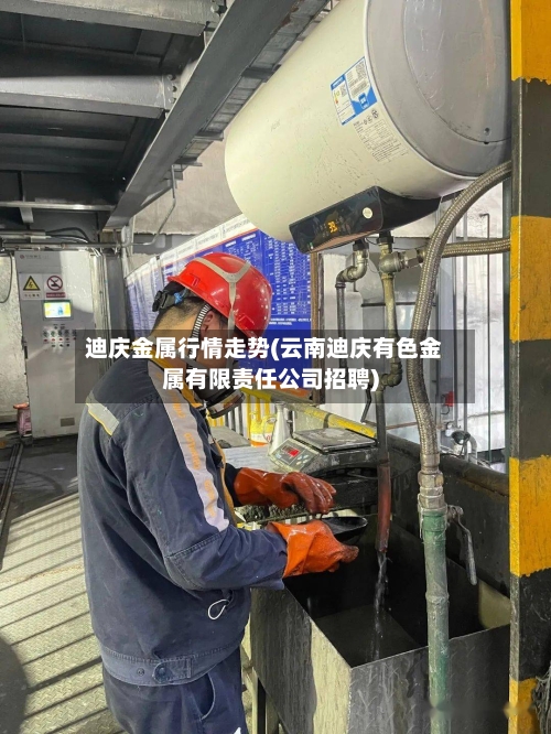 迪庆金属行情走势(云南迪庆有色金属有限责任公司招聘)