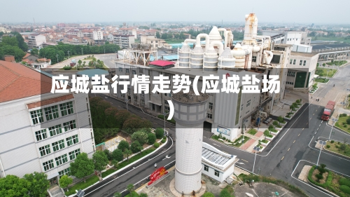 应城盐行情走势(应城盐场)-第2张图片