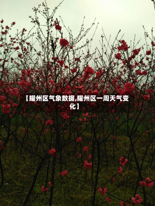 【耀州区气象数据,耀州区一周天气变化】
