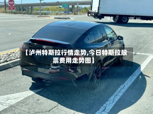 【泸州特斯拉行情走势,今日特斯拉股票费用走势图】