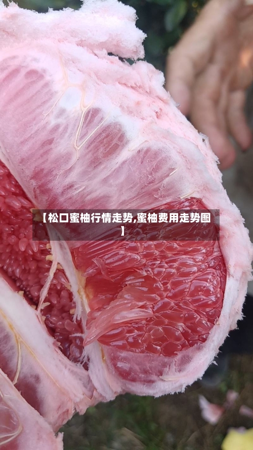 【松口蜜柚行情走势,蜜柚费用走势图】-第2张图片