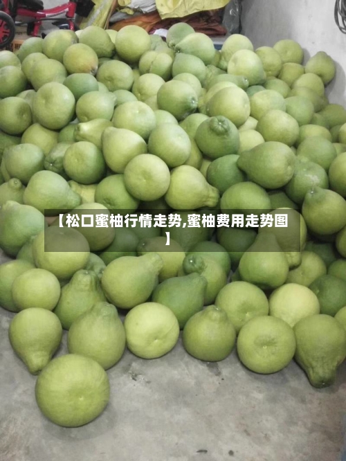 【松口蜜柚行情走势,蜜柚费用走势图】