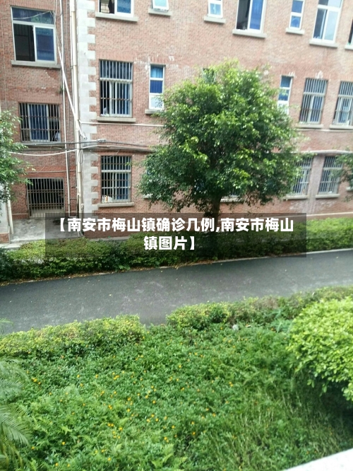 【南安市梅山镇确诊几例,南安市梅山镇图片】