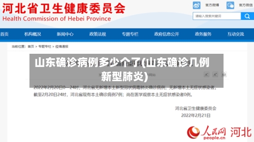 山东确诊病例多少个了(山东确诊几例新型肺炎)-第2张图片