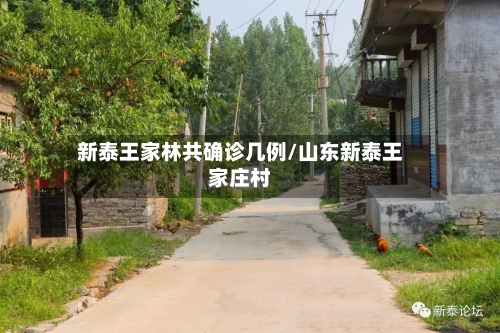 新泰王家林共确诊几例/山东新泰王家庄村-第3张图片