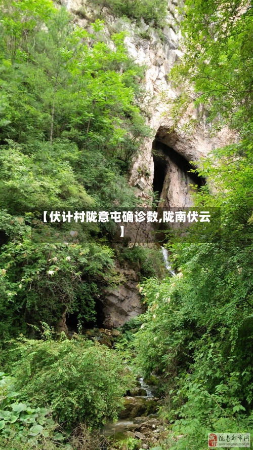 【伏计村陇意屯确诊数,陇南伏云】-第2张图片