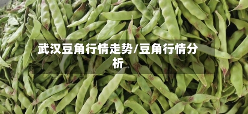 武汉豆角行情走势/豆角行情分析-第2张图片