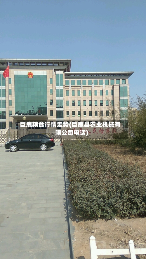 巨鹿粮食行情走势(巨鹿县农业机械有限公司电话)