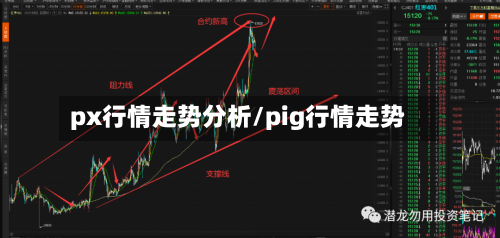 px行情走势分析/pig行情走势