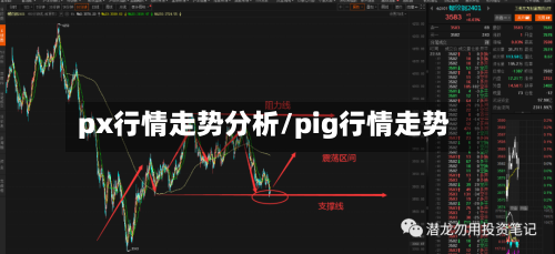 px行情走势分析/pig行情走势-第2张图片