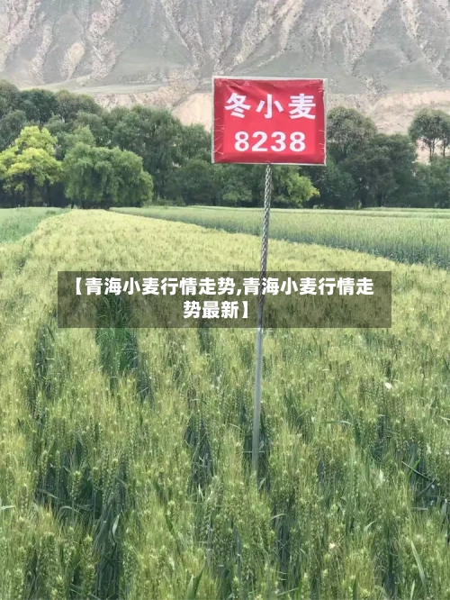 【青海小麦行情走势,青海小麦行情走势最新】-第2张图片