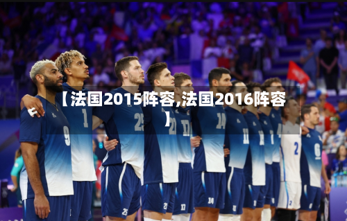 【法国2015阵容,法国2016阵容】