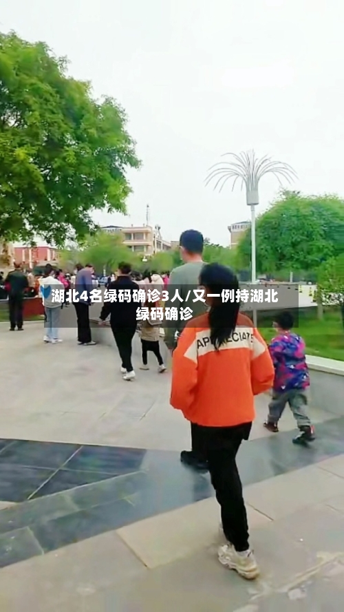 湖北4名绿码确诊3人/又一例持湖北绿码确诊